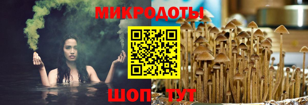 Псилоцибиновые грибы Psilocybe  Вход с VPN  Псилоцибиновые грибы ЛСД  Камень-на-Оби 